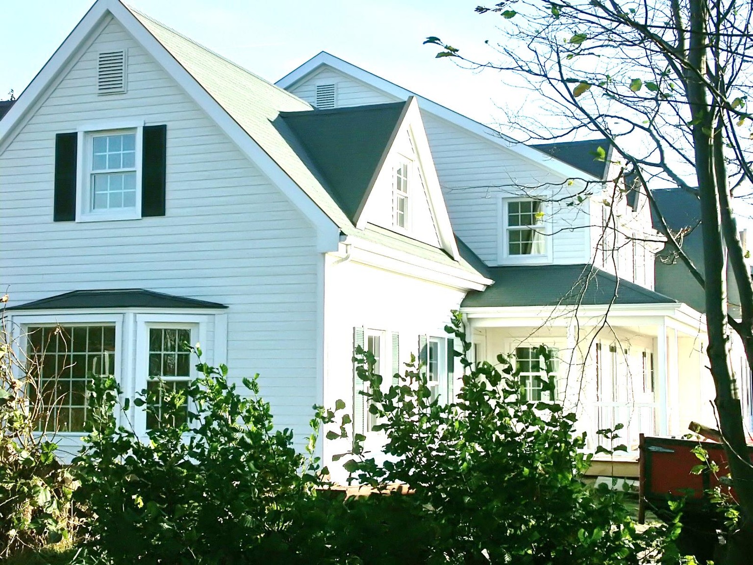 THE FARMER DG 303 / 369